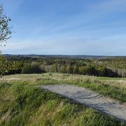 Brudarebacken i naturreservatet Delsjöområdet, där Bussaba Carlssons kropp hittades.