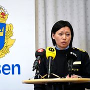 Helena Trolläng, Polisens utredningschef.