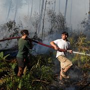 En grupp människor försöker släcka en brand nära Lacanau, utanför Bordeaux i Frankrike.