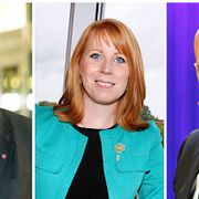 Stefan Löfven, Annie Lööf och Fredrik Reinfeldt.