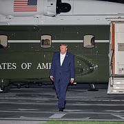 Trump.