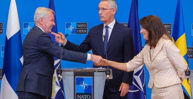 Finland president, Natos generalsekreterare och utrikesministern. Olivier Matthys / AP