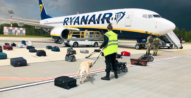 Ryanairplanet på Minsks flygplats i söndags. TT NYHETSBYRÅN