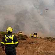 Arkivbild från skogsbrand i Spanien 2025. Illustrationsbild. EJ från Almería.