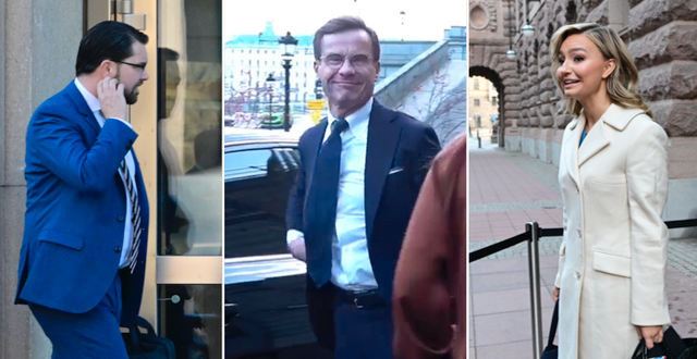 Jimmie Åkesson, Ulf Kristersson och Ebba Busch har alla fotograferats vid riksdagen på fredagsmorgonen. TT