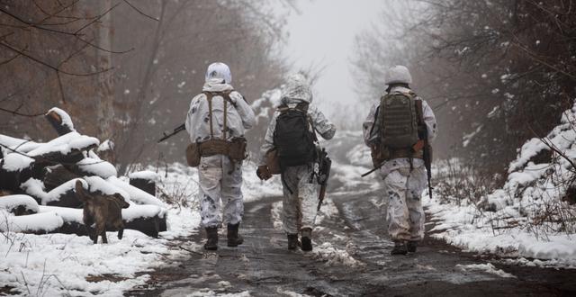 Ukrainska soldater i närheten av Donetsk, Ukraina. Andriy Dubchak / TT NYHETSBYRÅN