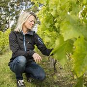 20140901 Helena Vallbo är vinodlare i Staffanstorp. Hon odlar Chardonnaydruvor i liten skala. 