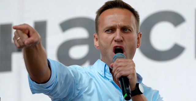 Aleksei Navalnyj. Pavel Golovkin / TT NYHETSBYRÅN