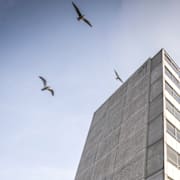 Kinesiska muren i Malmö. Akrivbild. 