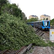 Ett träd blåste ner på tunnelbanespåren vid Skärmarbrink i södra Stockholm i juli. 