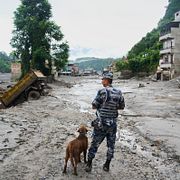 Drabbat område i Nepal.