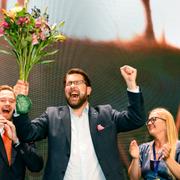 Henrik Vinge, Jimmie Åkesson och Julia Kronlid. 