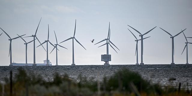 Vindkraftspark utanför Malmö Johan Nilsson/TT