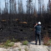 En reporter fotograferar brandskadad skog.