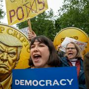 Protester mot Donald Trumps politik.