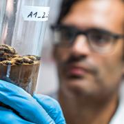 Naturvetenskaplig forskning har högre tilltro bland svenskarna än annan forskning. Här undersöker Francisco Nascimento, forskare på Stockholms universitet, effekterna av mineralbrytning i Östersjön. 