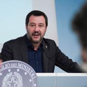 Arkivbild: Salvini.