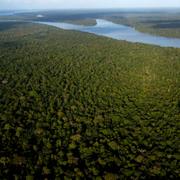 Amazonas nära floden Guama nära staden Belem, Brasilien, den 6 augusti 2023. 