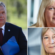 Marita Ulvskog (S) och Anna Hedh (S) oroar sig över Viktor Orbán.