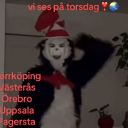”Katten i hatten” trendar på Tiktok.