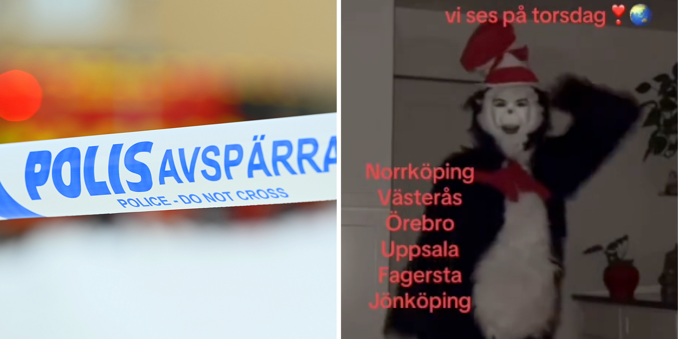 ”Katten i hatten” trendar på Tiktok.