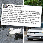 Ett par änder simmar i sjön i Mueller Lake Park i Austin/ett av Avrides självkörande fordon på en produktbild från bolaget.