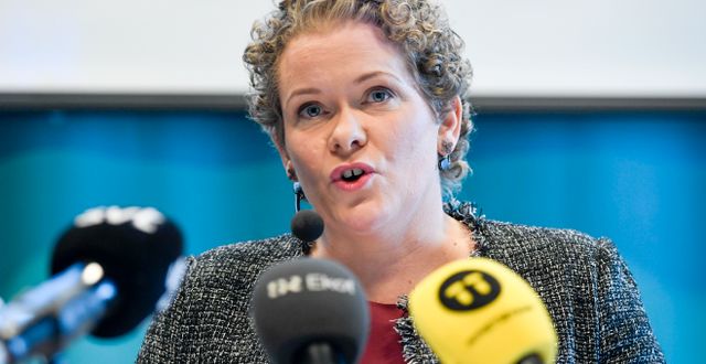 Karin Wanngård (S). Pontus Lundahl/TT / TT NYHETSBYRÅN