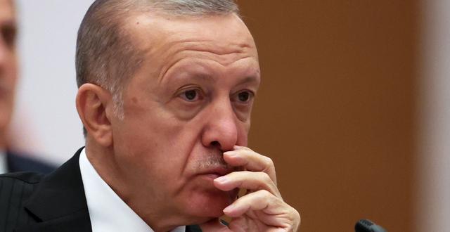 Enligt turkisk lag avgör president Erdogan själv då omröstningar om internationella förhållanden ska ske i parlamentet. Sergei Bobylev / AP