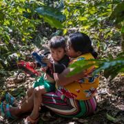 Alvina Jeronimo Perez och hennes barnbarn Wilman på en kaffegård i Tizamarte, Guatemala.