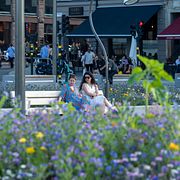 Blommor på Södermalm. Arkivbild.