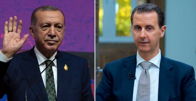 Erdogan/Assad. AP