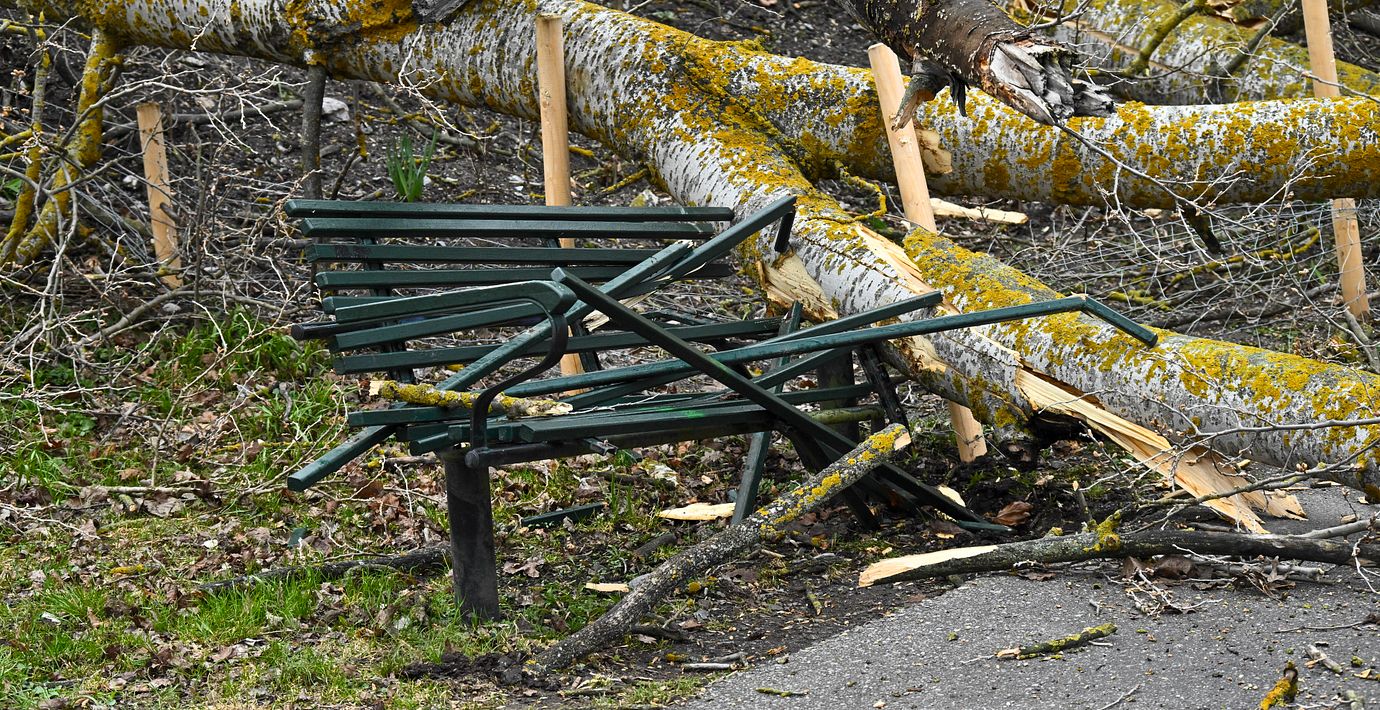 Ett nedblåst träd på Södermalm i Stockholm under stormen Dave.