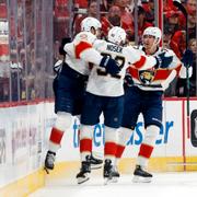 Florida Panthers firar ett mål i nattens match.