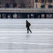 Riddarfjärden i Stockholm är full med skridskoåkare.