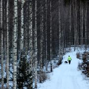 Skog i Lahti i Finland. 