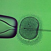 Fertilitetsbehandling. Arkivbild.