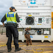 Tullpersonal med hund undersöker en containter i Helsingborgs hamn. Arkivbild.