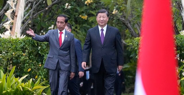 Indonesian President Joko Widodo, left, walks with Chinese President Xi Jinping during their bilateral meeting on the sidelines of the G20 summit in Nusa Dua, Bali, Indonesia, Wednesday, Nov. 16, 2022. Achmad Ibrahim / AP