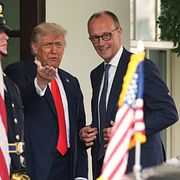 Donald Trump och Friedrich Merz under ett möte i Vita huset i somras.