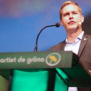 Gustav Fridolin.