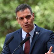 Pedro Sánchez efter sitt möte med det spanska kungahuset.