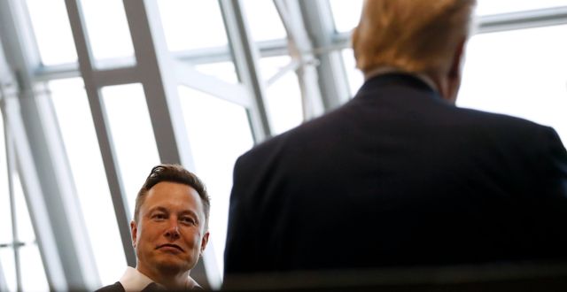 Elon Musk och Donald Trump. Arkivbild. Alex Brandon / AP