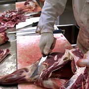 Arkivbild, halalslakteri i Stockholm.