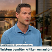 Johan Forssell (M). 