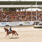 Falsterbo Horse Show, arkivbild