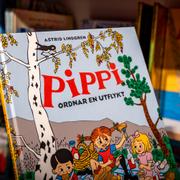 Pippi fanns med på listan när Sveriges första kulturkanon presenterades.