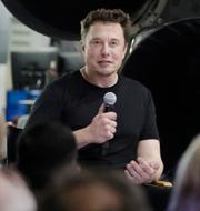 Arkivbild på Musk.  Chris Carlson / AP