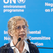 Verkställande direktören för FN:s miljöprogram under en presskonferens i dag/Plastföroreningar i Nigeria.