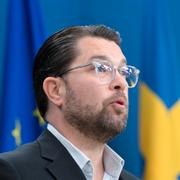 Sverigedemokraternas partiledare Jimmie Åkesson. 