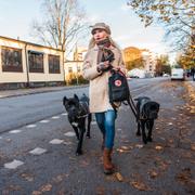 Unni Drougge med hundarna/Arkivbild